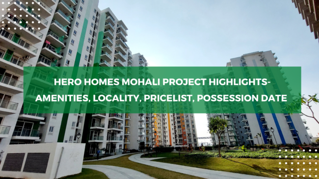 Healthy-Living-Blog-Banner-2